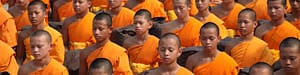 Read more about the article The Effects of Meditation on the Brain: Insights from MRI Scans of Tibetan Monks